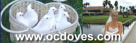 White Dove Release